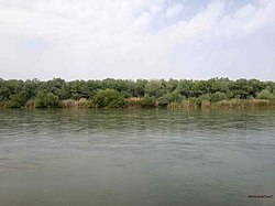 شرایط رودخانه های کرخه و کارون طغیانی است