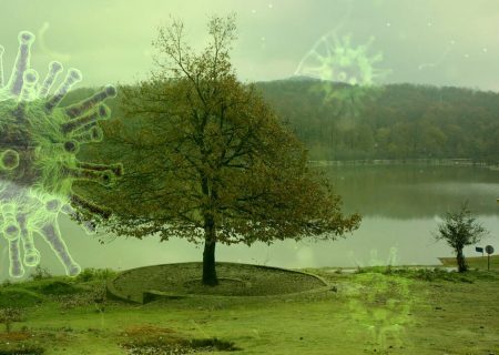 فتحی: به جای سبزه، سلامت خانواده را به هم گره بزنیم