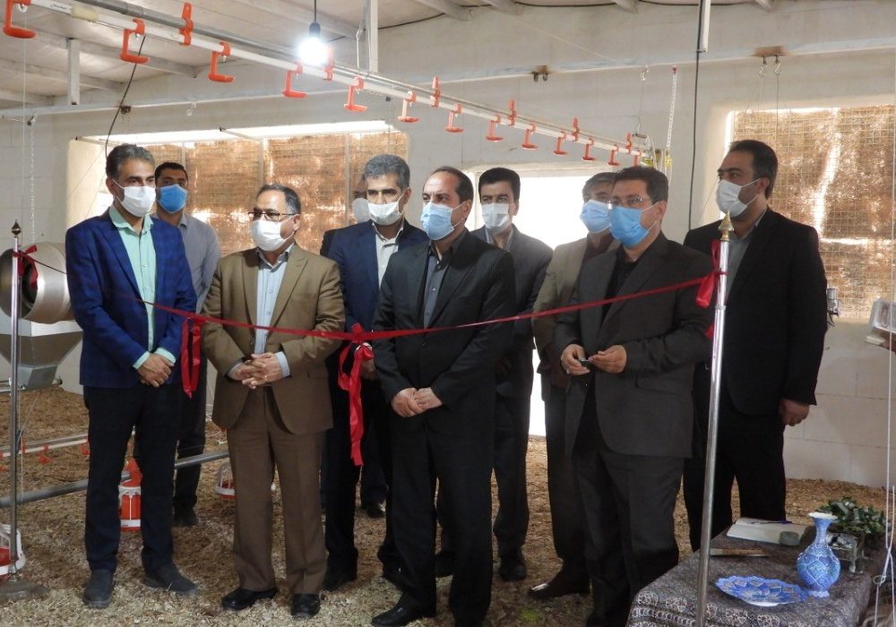 موذنی: جوانان نخبه و کارآفرینان بزرگ‌ترین ذخیره و سرمایه کشور هستند