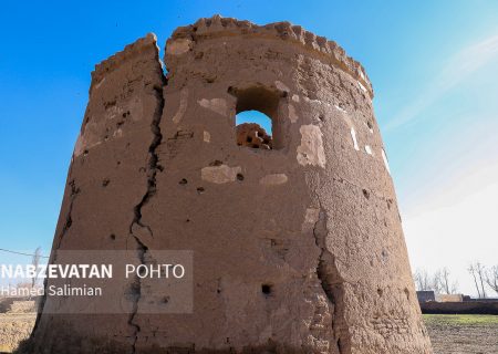 صیانت از تاریخ زرین شهر با احیاء باغ برجی ریز