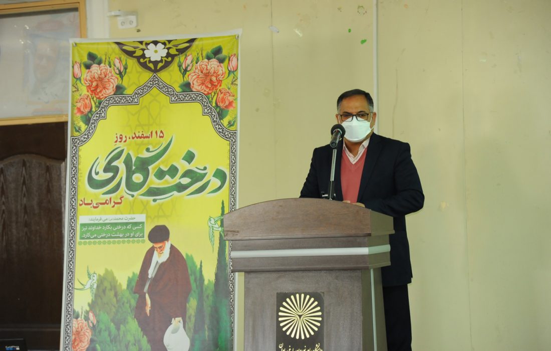 آیین درختکاری در ایران از پشتوانه ای کهن برخوردار است