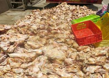 حکم جالب یک مقام قضایی برای عرضه‌کننده مرغ غیرقابل مصرف/ خرید ماسک و ضدعفونی‌کننده برای نیازمندان دهگلانی