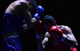 شب خوب بوکسورها با دو برنز و دو فینالیست