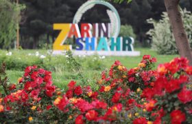 سازمانهای مردمنهاد رقیب مسئولان خصوصا مدیریت شهری نیستند