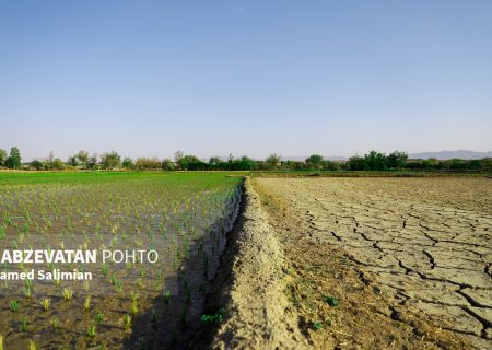 ضرورت شفافسازی خسارت حق آبه داران و کشاورزان لنجان