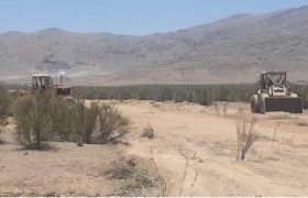 صنعتی که کمر همت به نابودی محیط زیست لنجان بسته است/قطع بیش ا ز ۴ هزار درختچه بادام توسط ذوب آهن اصفهان