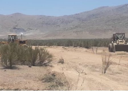 صنعتی که کمر همت به نابودی محیط زیست لنجان بسته است/قطع بیش ا ز ۴ هزار درختچه بادام توسط ذوب آهن اصفهان