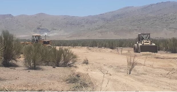 صنعتی که کمر همت به نابودی محیط زیست لنجان بسته است/قطع بیش ا ز ۴ هزار درختچه بادام توسط ذوب آهن اصفهان