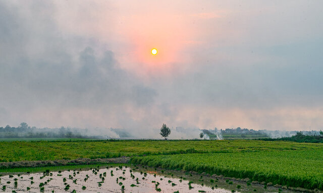 به کشاورزان پایین دست گیلان آب نمی‌رسد