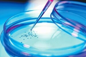 کارگاه «کشت سلول‌های جانوری» برگزار می‌شود