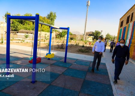 محمدی: دنبال داشتن شهروند سالم، زندگی سالم و جامعه سالم هستیم