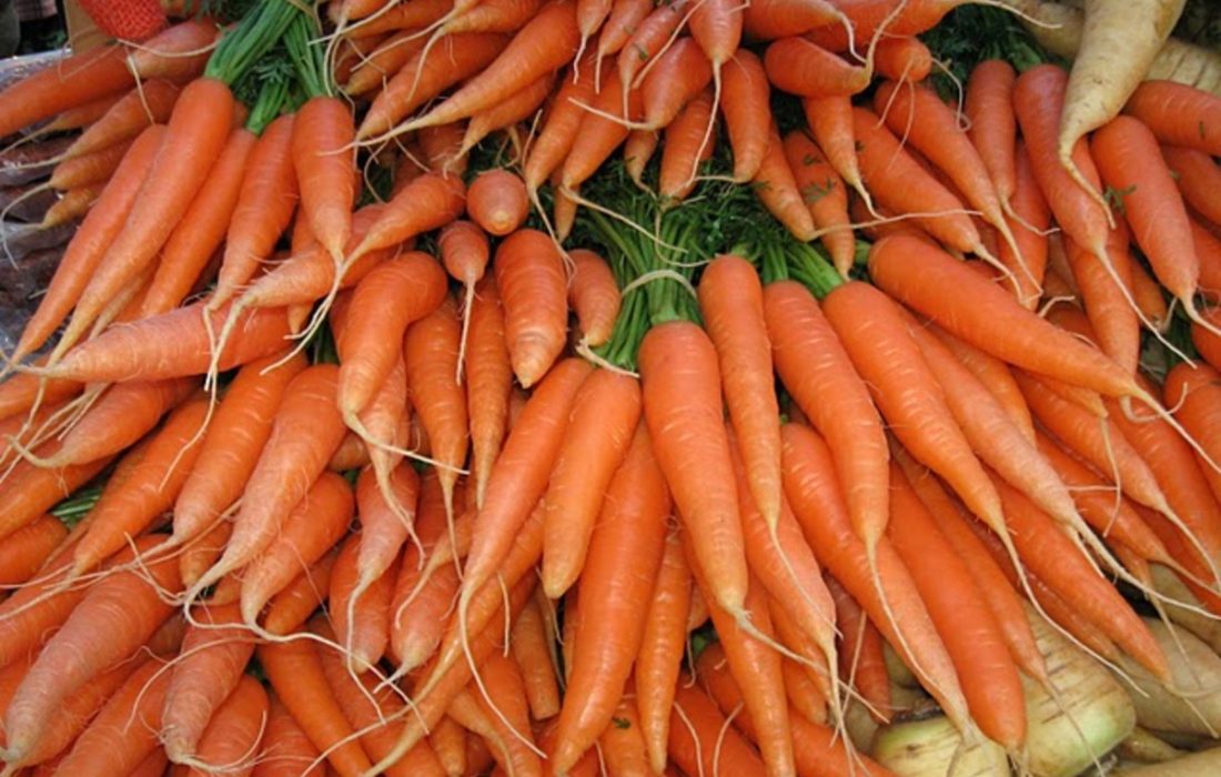 کمآبی، کشت کم و کرونا سه عامل اصلی گرانی هویج