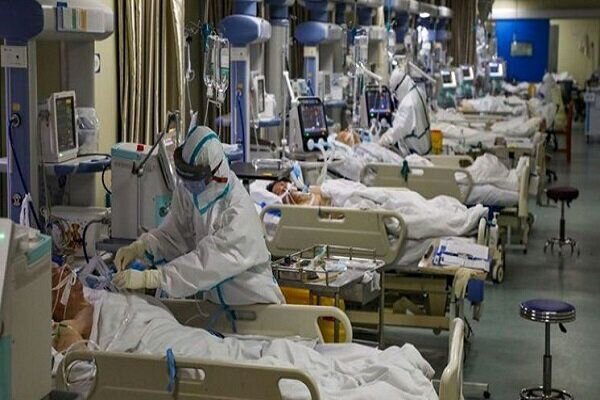 زالی :فوت ۱۲۰ بیمار کرونایی طی ۲۴ ساعت در استان تهران