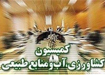 تشکیل کارگروه مشترک مجلس و دولت برای بررسی و تدوین احکام برنامه هفتم