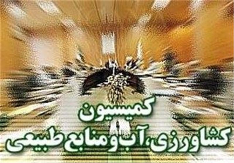 تشکیل کارگروه مشترک مجلس و دولت برای بررسی و تدوین احکام برنامه هفتم