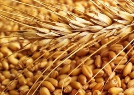 پیش‌بینی دولت قبل غلط از آب درآمد