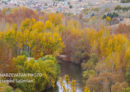 امینی: هنر زبان گویایی برای نمایش زیبایی‌هاست/برگزیدگان جشنوارۀ عکس پاییز باغبادران معرفی شدند