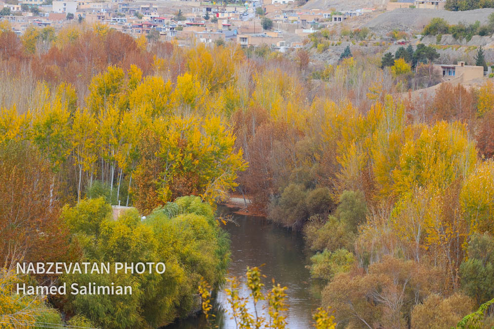 امینی: هنر زبان گویایی برای نمایش زیبایی‌هاست/برگزیدگان جشنوارۀ عکس پاییز باغبادران معرفی شدند