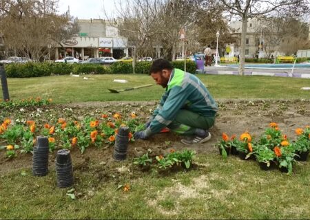 اجرای طرح استقبال از بهار در باغبادران