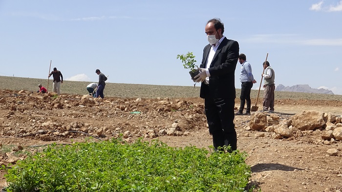 ثابت راسخ: حیات شهری بدون داشتن فضای سبز غیرممکن است