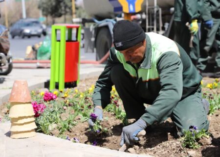 اسماعیلی احمدی: توسعه فضای سبز شهری نقش بسزایی در زیست بهتر شهروندان دارد