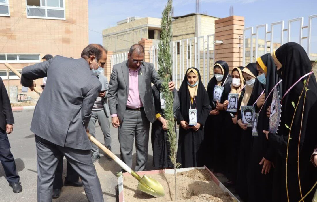 امینی: سرانه فضای سبز شهر باغبادران رشدی حدود دو برابر داشته است