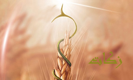 رسانه‌ها برای ترویج فرهنگ پرداخت زکات پیش‌قدم باشند