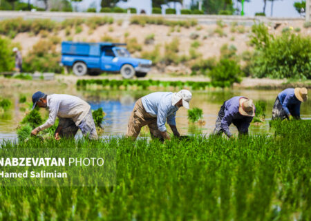 دولت سیزدهم سیاست‌ها خود را معطوف به حمایت از کشاورزان ایرانی و تولید داخل کرد
