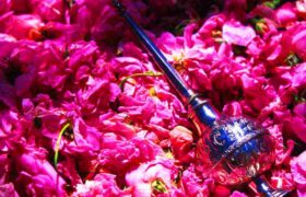 فتحی: مستند نگاری پرونده ثبت آئین نذر گلاب انجام شد