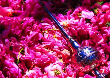 فتحی: مستند نگاری پرونده ثبت آئین نذر گلاب  انجام شد