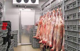 ۱۵ درصد نیاز کشور به گوشت قرمز از محل واردات تأمین میشود