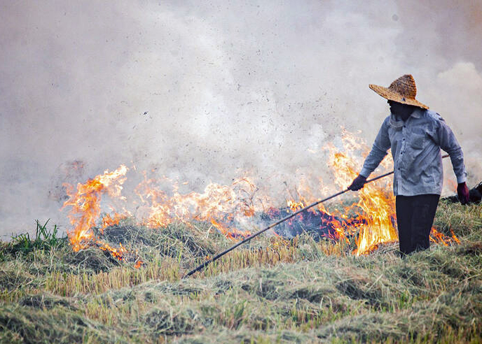 آتشی که نفسهای شهروندان لنجان را به شماره انداخت!
