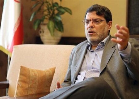 مرندی به اظهارات برجامی اخیر رابرت مالی واکنش نشلان داد