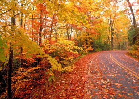 بارش رحمت الهی در باغبادران