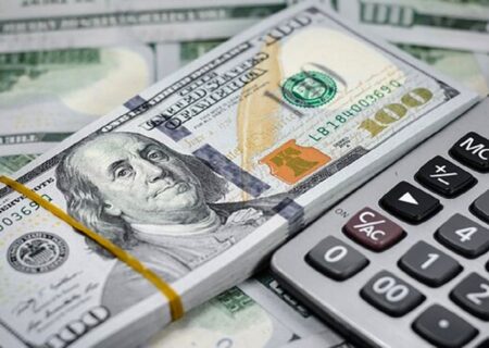 نرخ ارز در صرافی ملی و نرخ رسمی ۴۶ ارز توسط بانک مرکزی اعلام شد