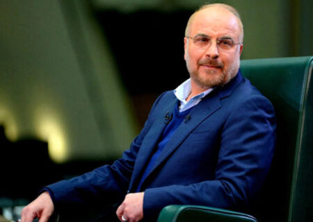 رئیس مجلس شورای اسلامی در دانشگاه تربیت‌مدرس سخنرانی می‌کند