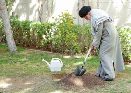 کاشت نهال توسط رهبر انقلاب در روز درختکاری