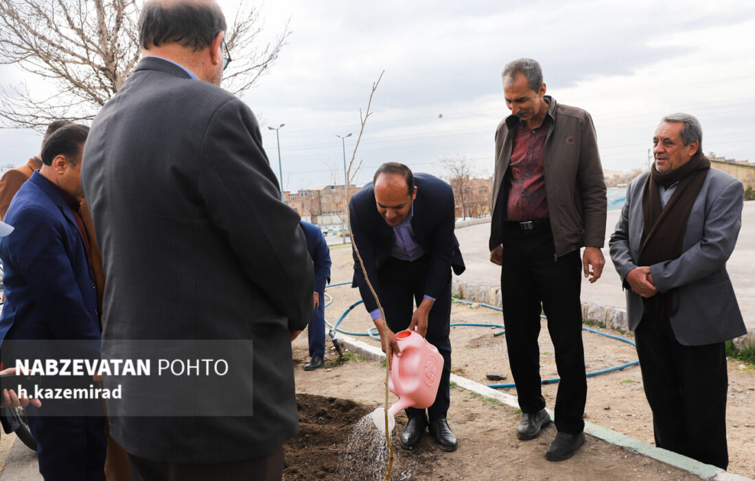 کاشت سه هزار اصله نهال در سطح بوستانها و معابر شهر چمگردان