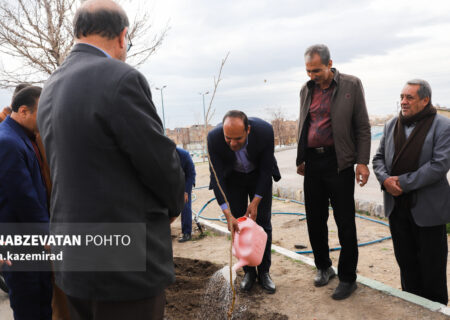 کاشت سه هزار اصله نهال در سطح بوستان‌ها و معابر شهر چمگردان