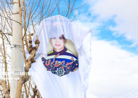 تمثال ۶۵ شهید شهر چمگردان رونمایی شدند