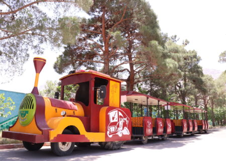 حرکت قطار شادی در معابر زرین شهر