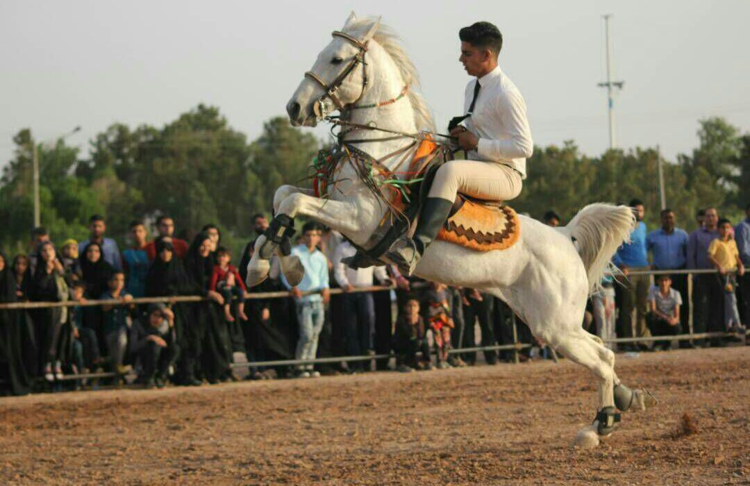 جشنواره یک روزه ملی اسب و سوارکاری در زرین شهر برگزار شد