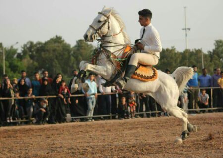 جشنواره یک روزه ملی اسب و سوارکاری در زرین شهر برگزار شد