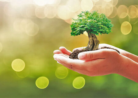 احیا و ترویج فرهنگ وقف نیاز جامعه امروز است