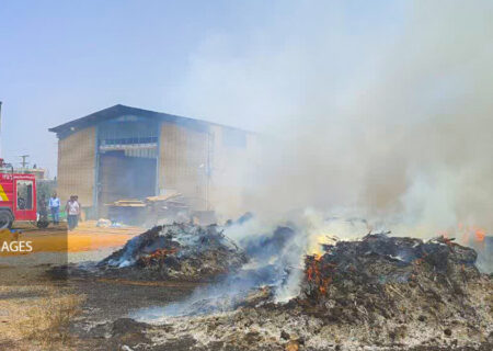 آتش‌سوزی کارخانه تولید نئوپان در شهرک صنعتی کچوئیه مهار شد+فیلم