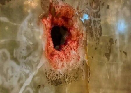 آخرین جزئیات حادثه تروریستی حرم شاهچراغ (ع)