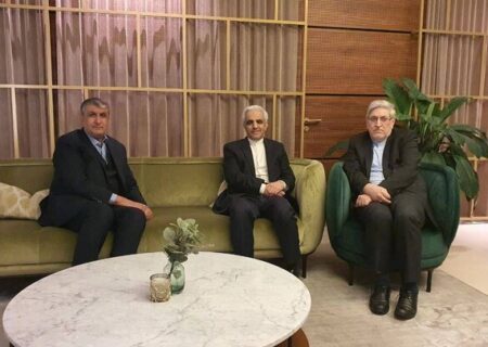 رئیس سازمان انرژی اتمی ایران وارد وین شد