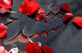 مادر شهیدان هاشمی به فرزندانش پیوست