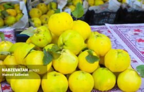 جشنواره‌ بِه باغبادران زمینه ساز ایجاد نشاط اجتماعی است