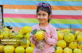 برگزاری جشنواره بِه فرصتی برای معرفی برندها و سوغات باغبادران